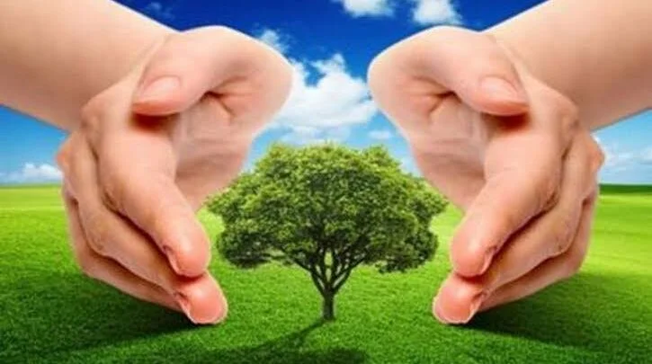 वृक्ष लागवड